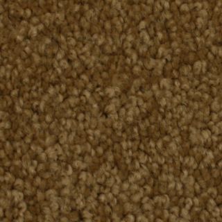 STAINMASTER Solarmax Westwind Embrace Textured Indoor Carpet