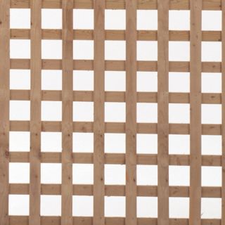 Spruce Square Wood Lattice (Common .685 in x 4 ft x 8 ft; Actual .685 in x 4 ft x 8 ft)
