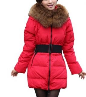 Women Detachable Faux Raccoon Fur Thick Hooded Down Jacket Down Coat WF 5191