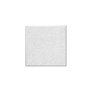 Armstrong 4 Pack Brighton Homestyle Ceiling Tile Panel (Common 24 in x 24 in; Actual 23.719 in x 23.719 in)