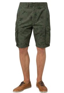 DC Shoes   WESTINGHOUSE   Cargo trousers   green
