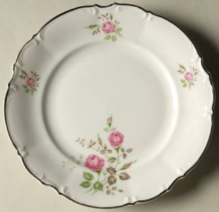 Saladmaster Heirloom Salad Plate, Fine China Dinnerware   One Large Group And  S