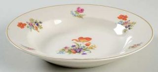 Warwick Ab9404 Rim Soup Bowl, Fine China Dinnerware   Floral Rim & Center,Smooth