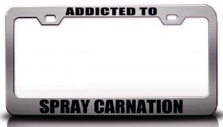 ADDICTED TO SPRAY CARNATION Flowers Steel Metal License Plate Frame Ch. # 79 Automotive