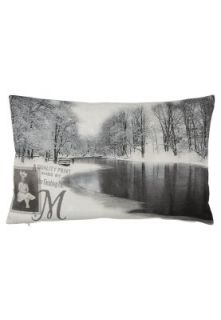 Moltex   FROZEN RIVER   Scatter cushion   grey