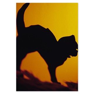 Silhouette of black cat Invitations by ADMIN_CP_GETTY35497297