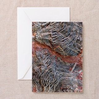 390 million year old Cri Greeting Cards (Pk of 10) by ADMIN_CP_GETTY35497297