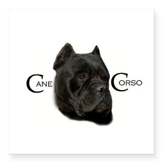 Handsome Black Cane Corso Oval Sticker by Admin_CP11001893