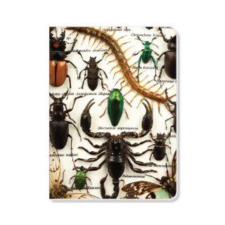 ECOeverywhere Bug Medley Journal, 160 Pages, 7.625 x 5.625 Inches, Multicolored (jr12754)  Hardcover Executive Notebooks 
