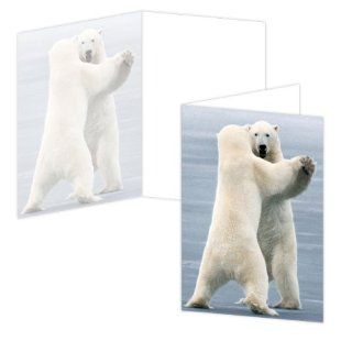 ECOeverywhere Arctic Anniversary Boxed Card Set, 12 Cards and Envelopes, 4 x 6 Inches, Multicolored (bc11387)  Blank Postcards 
