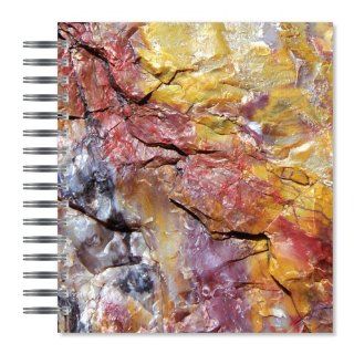 ECOeverywhere Petrified Wood Closeup Picture Photo Album, 18 Pages, Holds 72 Photos, 7.75 x 8.75 Inches, Multicolored (PA14298)  Wirebound Notebooks 