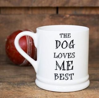 'the dog or cat loves me best' mug by sweet william designs