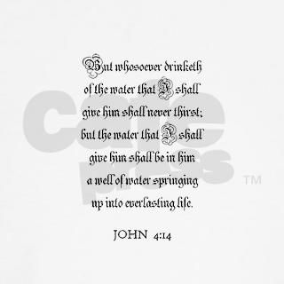 JOHN 414 Tee by bibleshirts