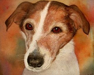 pet portrait by edwina cooper designs