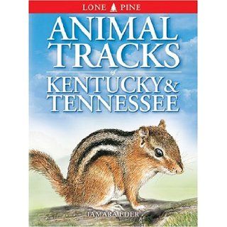 Animal Tracks of Kentucky & Tennessee (Animal Tracks Guides) Tamara Eder, Ian Sheldon 9781551053196 Books