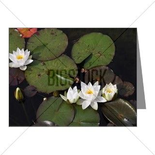 White water lily Note Cards (Pk of 10) by Admin_CP70839509