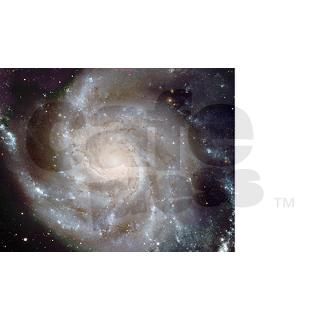 M101 Pinwheel Galaxy Mug by spacemart