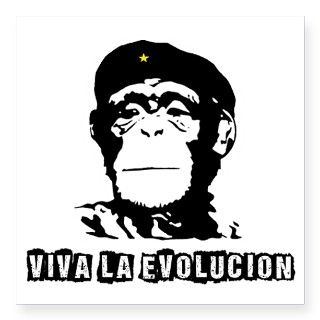 Human Evolution Sticker by viva_la_evolucion