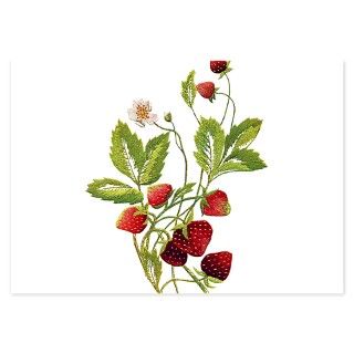 STRAWBERRIES_Embroidery copy.png Invitations by phat_ts