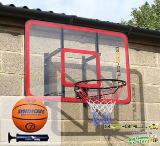 bee ball zy 022 backboard, ball and ring by big game hunters