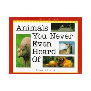Animals you Never Even Heard Of Patricia Curtis 9780871565945 Books