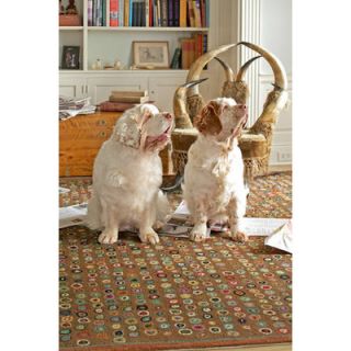 Dash and Albert Rugs Hooked Cats Paw Brown Micro Rug