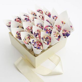 25 biodegradable petal wedding confetti cones by shropshire petals