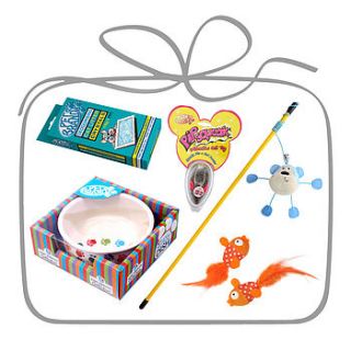 kitten kit by noah's ark