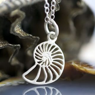 silver shell slice necklace by lily charmed