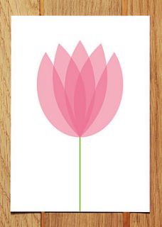 tulip flower postcard by showler and showler