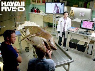 Hawaii Five 0 Season 3, Episode 19 "Hoa Pili"  Instant Video