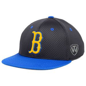 UCLA Bruins Top of the World NCAA CWS Youth Slam One Fit Cap