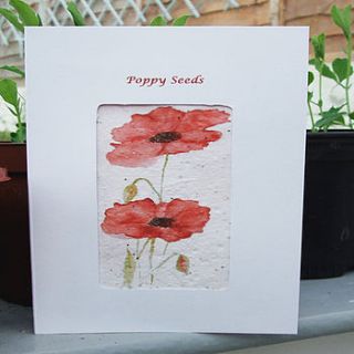 poppy seed card by soso paper co