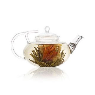 lotus clear glass teapot by the exotic teapot