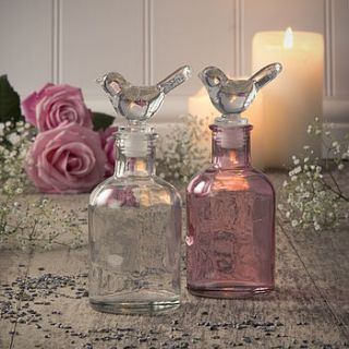 decorative glass bottle with bird stopper by the contemporary home