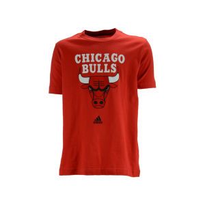 Chicago Bulls adidas NBA Youth Full Color Primary T Shirt