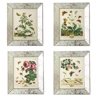 butterfly prints antiqued mirrored frames by cowshed interiors