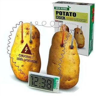 digital potato clock science kit by sleepyheads