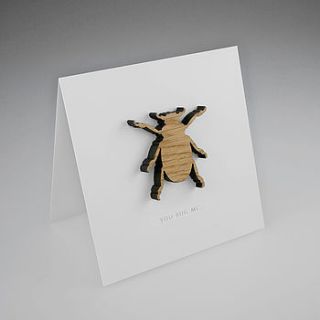 oak beetle magnetic gift card by hupa lupa