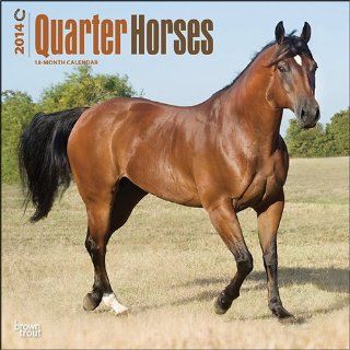 Quarter Horses 2014 Wall Calendar 