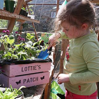 personalised child's crate planting kit by plantabox