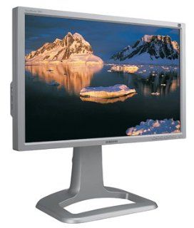 Samsung 244T Silver 24" LCD Monitor Computers & Accessories