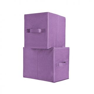 Joy Mangano 9" Set of 2 Organization Large Boxes