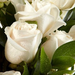 Ultimate Rose Two Dozen White Fresh Cut Roses with Vase