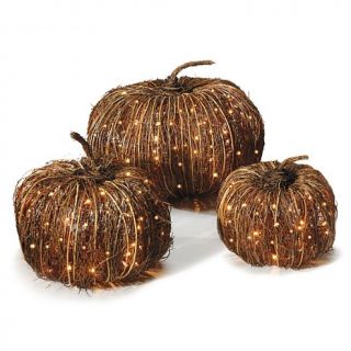 Grandin Road Grapevine Pumpkin   17" x 17"