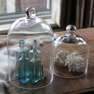 glass display cloche by magpie living