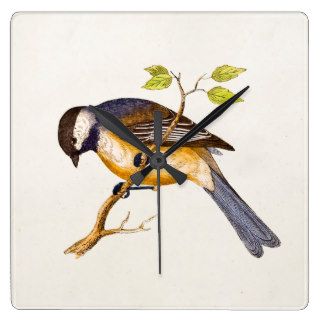 Vintage Song Bird Illustration   1800's Birds Wall Clocks