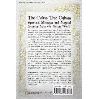 Celtic Tree Mysteries Practical Druid Magic & Divination Stephen Blamires 9781567180701 Books