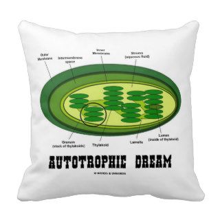 Autotrophic Dream (Chloroplast Biology Humor) Pillows