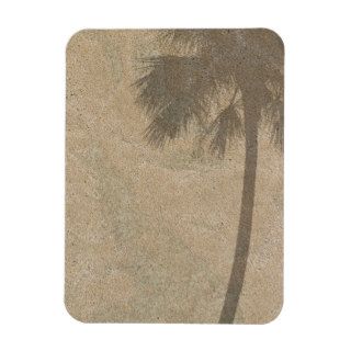 Palm Tree Shadow on Beach Sand Background Palms Rectangle Magnet